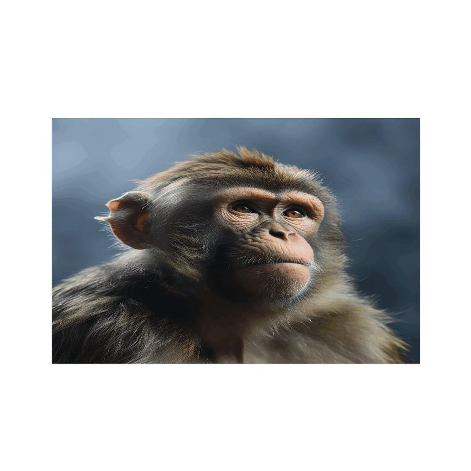Monkey Placemats Non-Slip Heat Resistant Table Mats Flax Washable Cloth Place Mats Easy to Clean Premium Placemat for Kitchen Dining Table Decor Party Outdoor