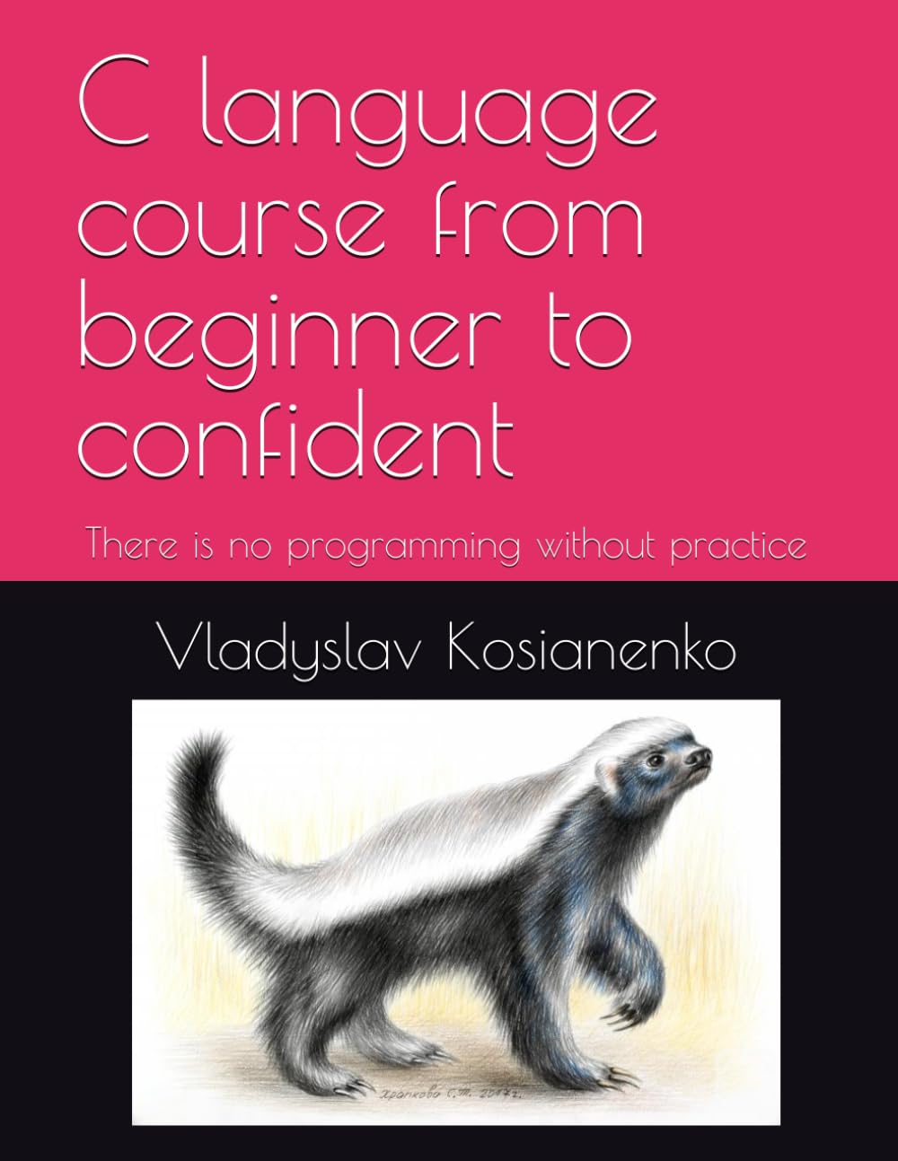 C language course from beginner to confident: There is no programming without practice (Programming languages)