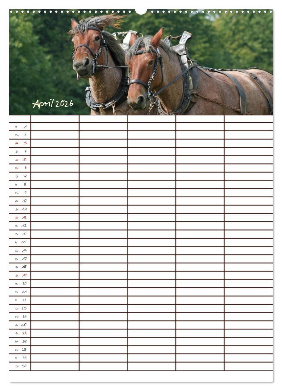Der Kaltblut-Familienplaner (Wandkalender 2026 DIN A2 hoch), CALVENDO Monatskalender: Der Kaltblutkalender für die ganze Familie (CALVENDO Tiere)