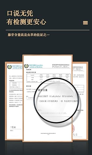 Miniatura 5 de Genuino seco Cordyceps sinensiswinterworm summerherb, Ophiocordyceps sinensis, Tíbet destacado, (6 piezas) peso neto 0.04 oz.