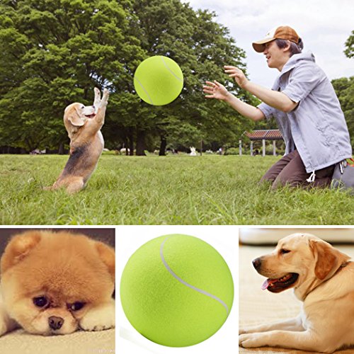 Wie Groß Ist Ein Tennisball Die 16 besten Produkte im Vergleich HundeINFOPortal