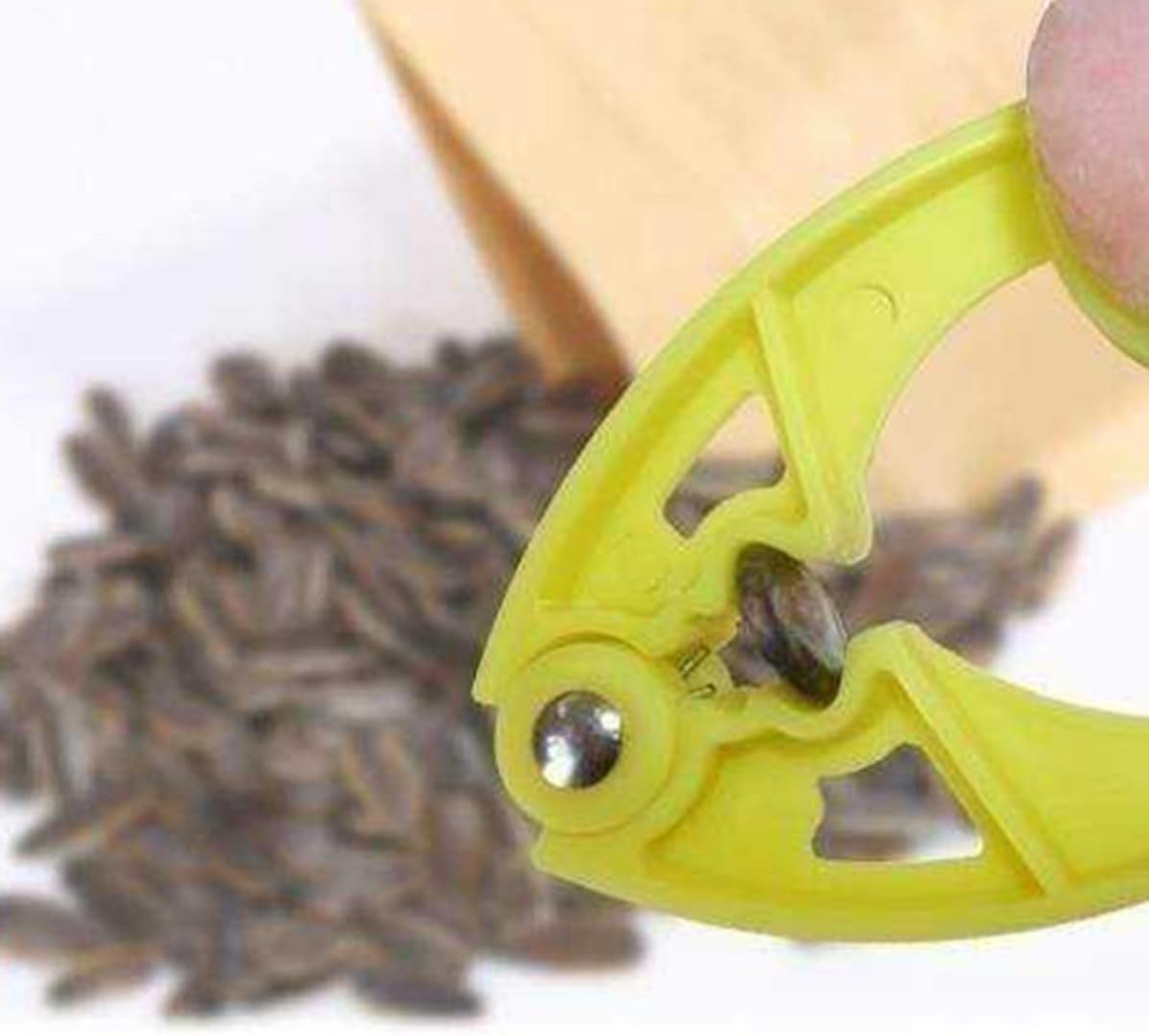 5pcs Plastic Nut Crackers Halloween for Torreya Pine Nuts