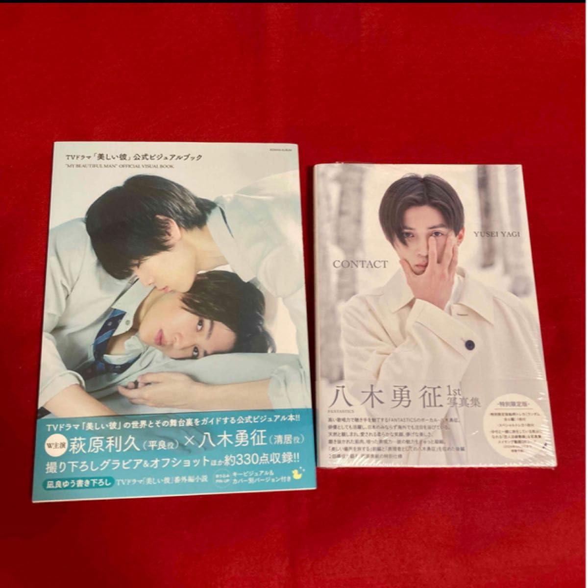 期間限定値下げ ☆FANTASTICS カード八木勇征31枚 記念ファイル 期間