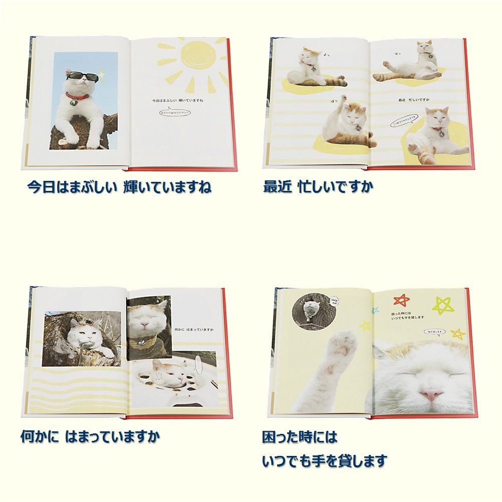Amazon | 学研ステイフル バースデーカード メッセージブック かご猫