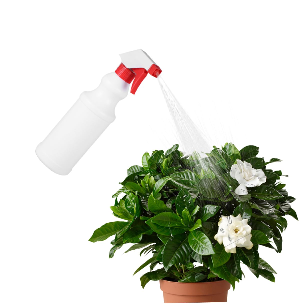 12 Stück Sprühflasche Aus Kunststoff Feiner Nebelpumpe Nachfüllbar Auslaufsichere Düse Für Haushalt Und Reisen Wiederverwendbare