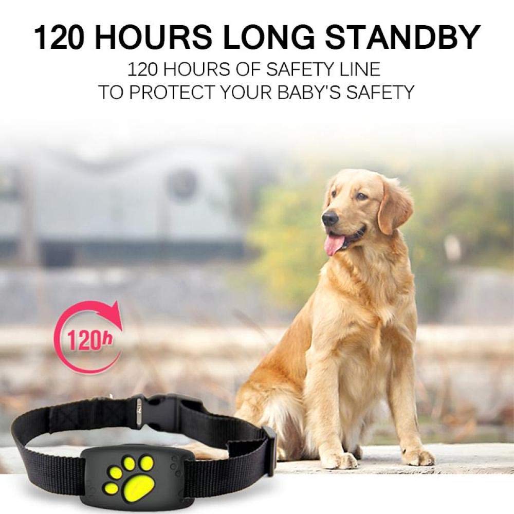 Rastreador GPS para Mascotas Collar Perros Gatos Dispositivo para localización de posicionador GPS para Perros a Prueba de Agua Cable USB Valla de Seguridad Recargable para Mascotas-Cielo Azul