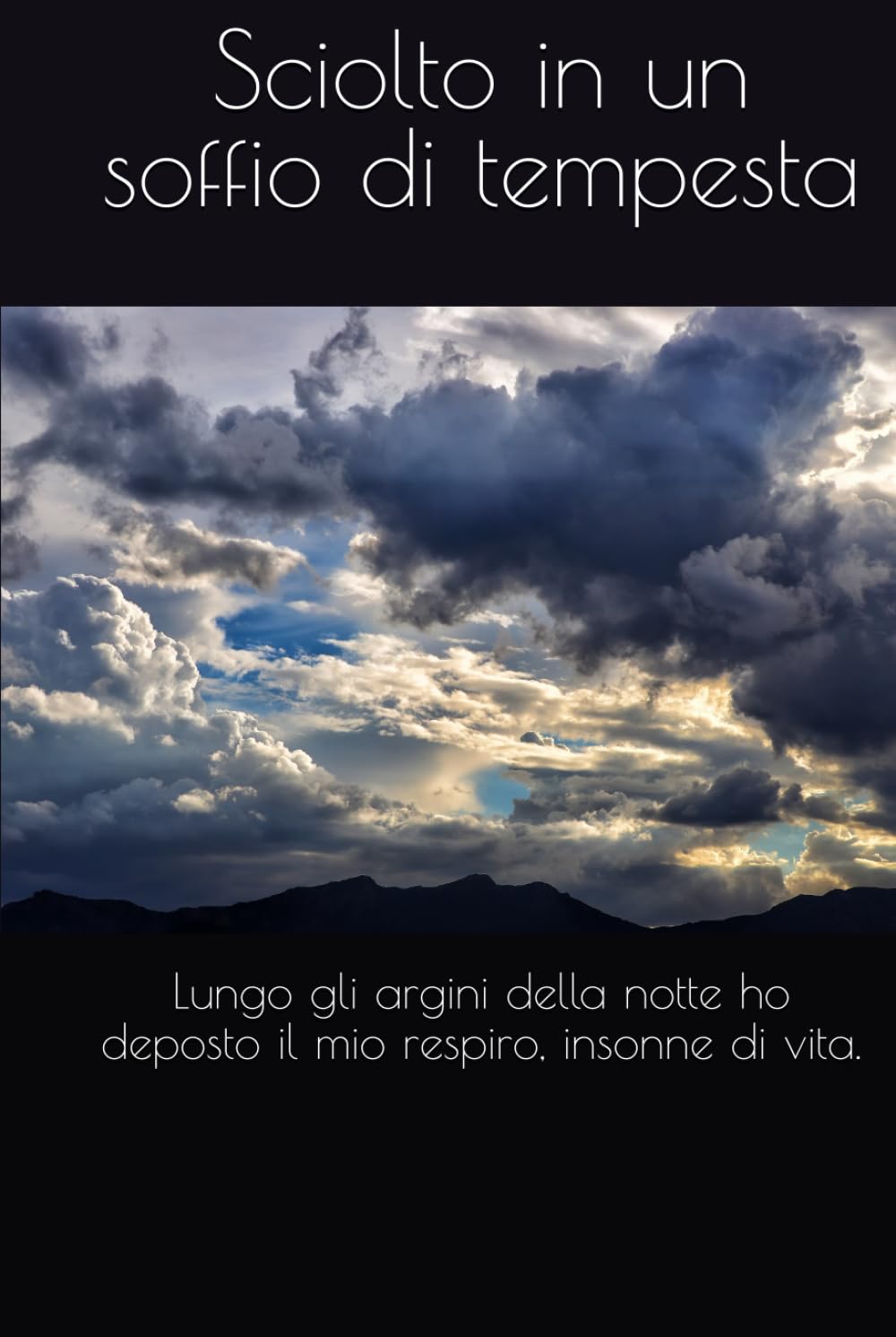 Sciolto in un soffio di tempesta: Lungo gli argini della notte ho deposto il mio respiro, insonne di vita.