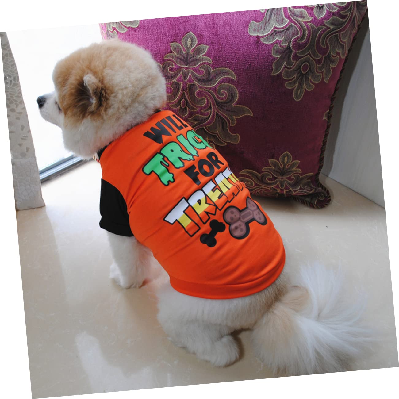 PRETYZOOM 6pezzi Costumi Per Cani Di Halloween Da Magliette Per Cani e Arancione Comode e Lavabili Per Feste e Occasioni Speciali