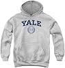 Yale University Official Yale Seal Youth Kids Boy/Girls Pull-Over Hoodie Sweatshirt