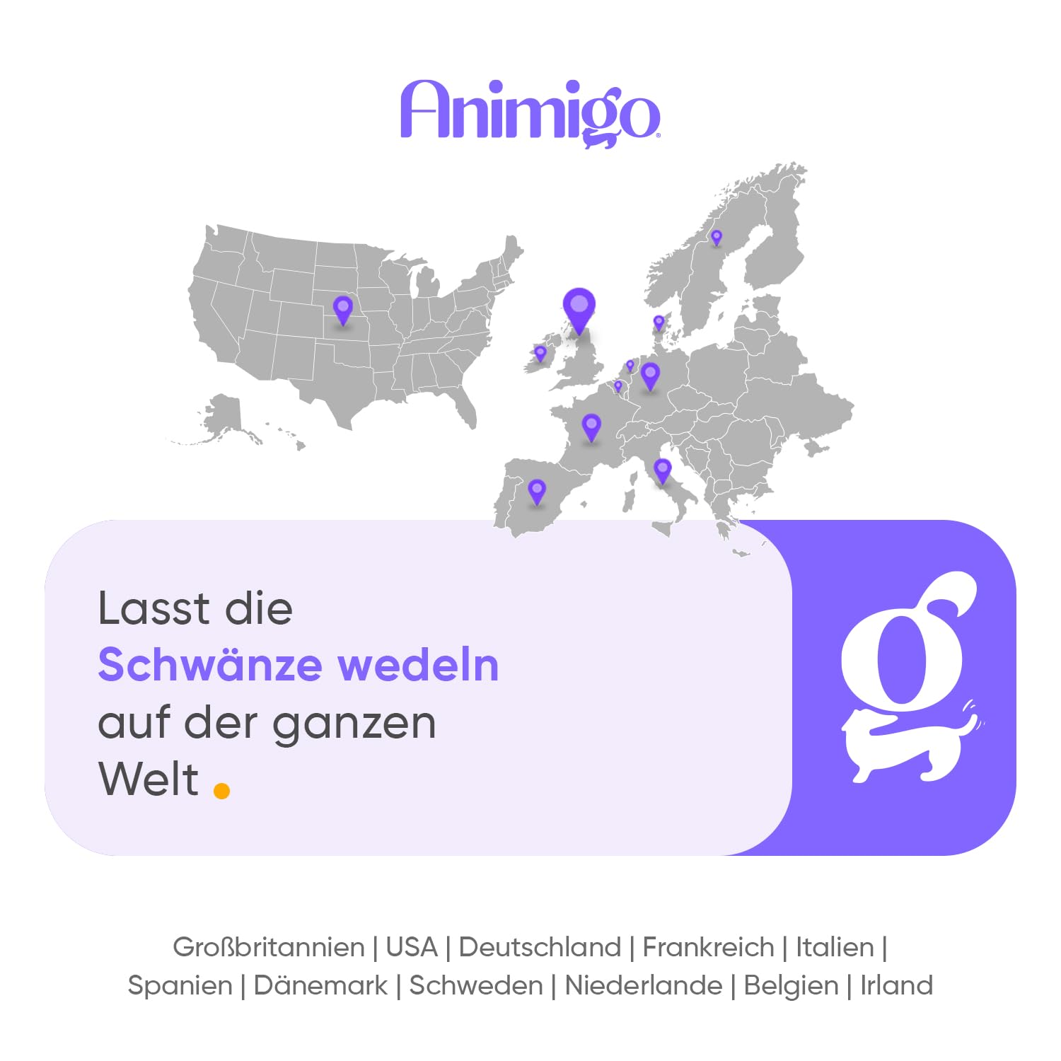 Animigo Multivitamine für Katzen - 365 Vitamine Tabletten - Mit Vitamin B Komplex(Biotin, Folsäure), C, D3, Kalzium, Eisen, Kupfer, Jod, Zink - 18 Mineralien & Vitamine für Katzen & Kätzchen Immunität