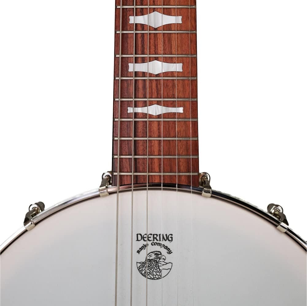 Six-String Banjo by Deering