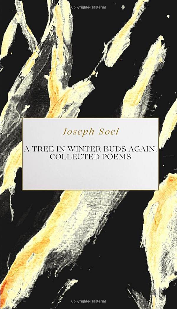 A Tree in Winter Buds Again