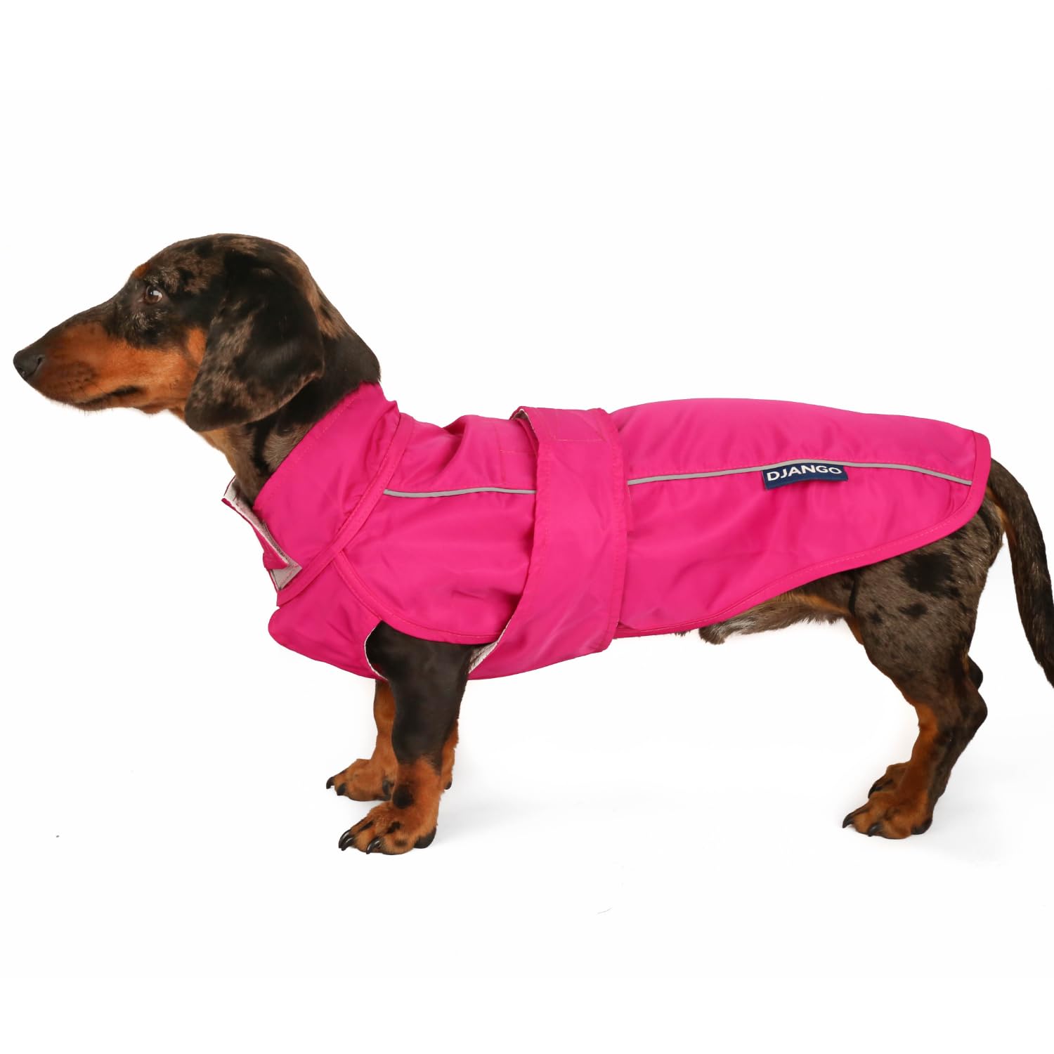 DJANGO Dog Jacket and Raincoat