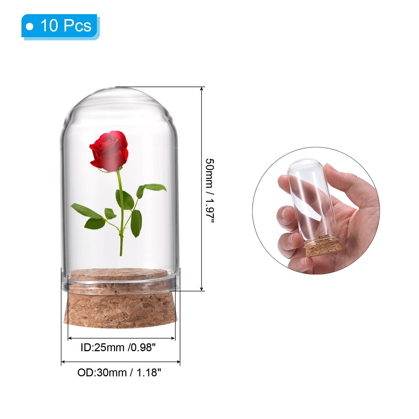 Amazon.co.jp: PATIKIL クリアクロッシュガラスドーム 10個