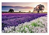 Natürliche Landschaft Hochwertige Puzzle Kinder Erwachsene Puzzles aus Holz