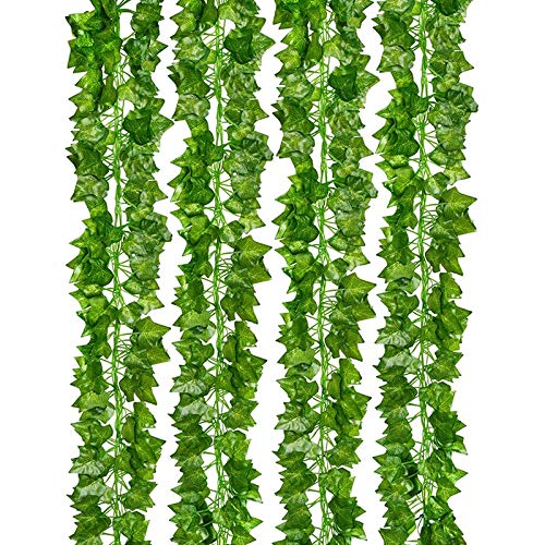 efeu wachstum begrenzen Efeu 90 cm im Topf Hibernica main image 1