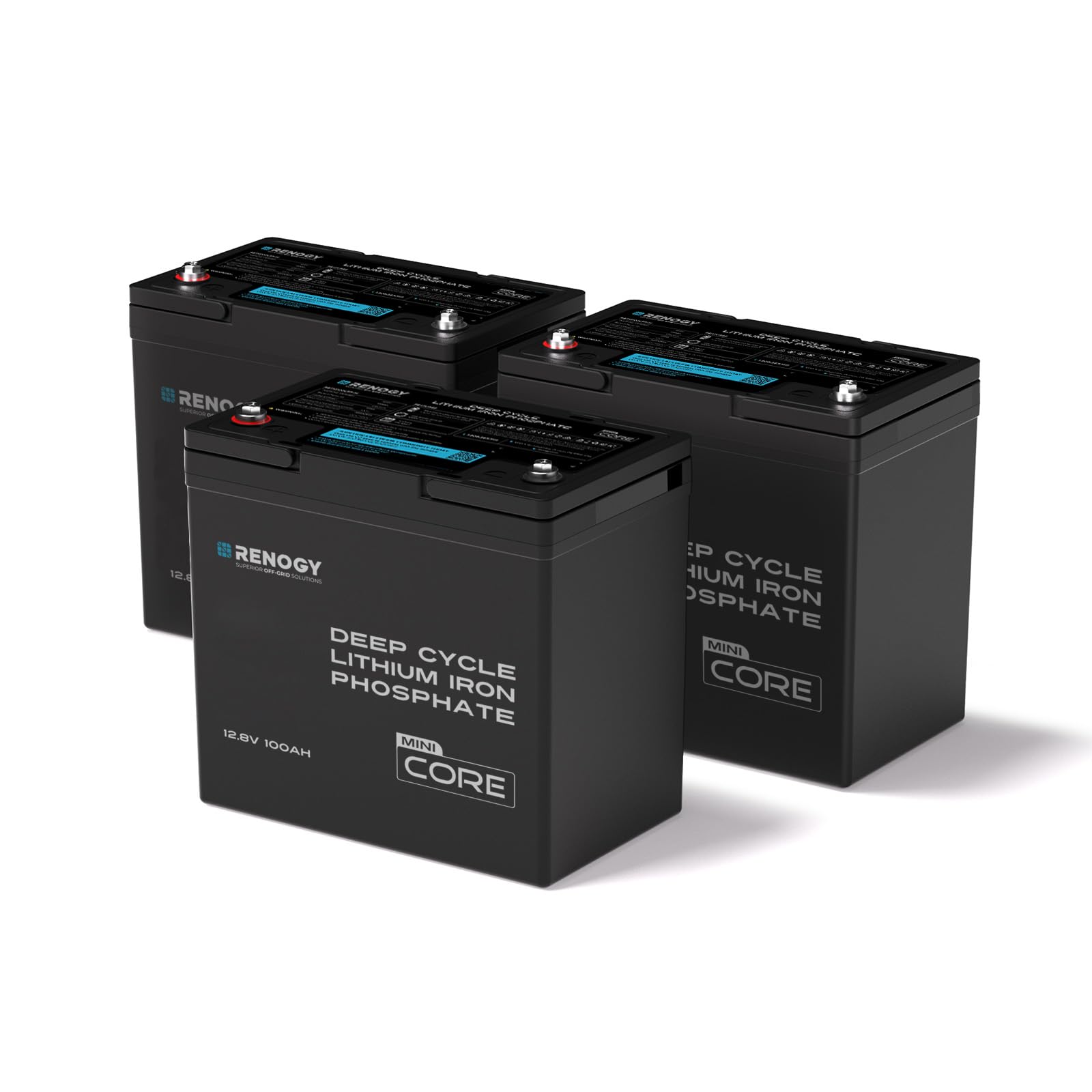 Renogy 12V 100Ah LiFePO4 Lithium Battery for Charge Controller Inverter 3PC