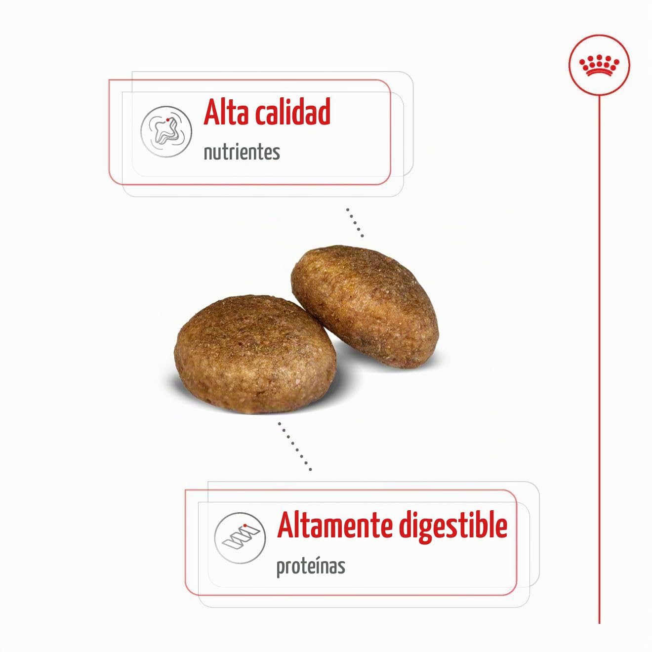 Royal Canin Comida para perros Maxi Adult 10 Kg