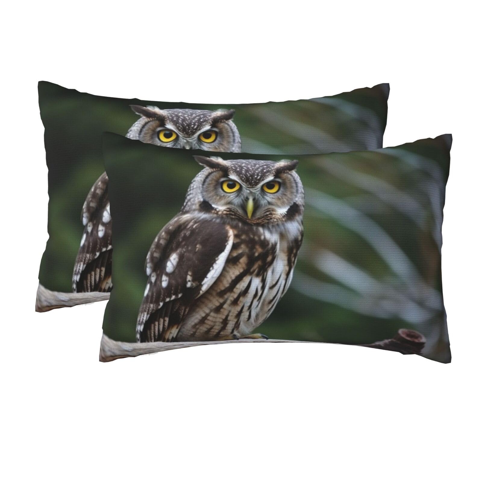 2 Pack Queen Pillow Cases with Hidden Zipper, Soft Breathable Pillow Covers for Hair and Skin, Wild Owl Birds Pillowcases 20"x30" Bed Pillow Protectors Cover for Sleeping Gifts