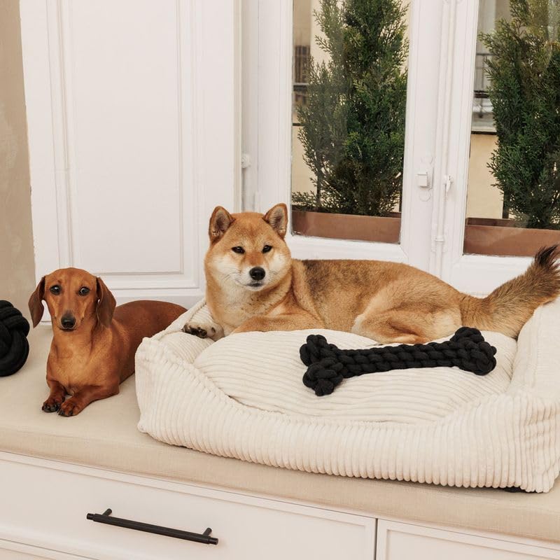 Modern Living Hundebett Helena | Komfortables Hundebett für kleine bis große Hunde | stilvolles Breitcord-Design | mit Memory Schaum gefüllt, Abnehmbarer Bezug (Beige, 65x60x18cm)