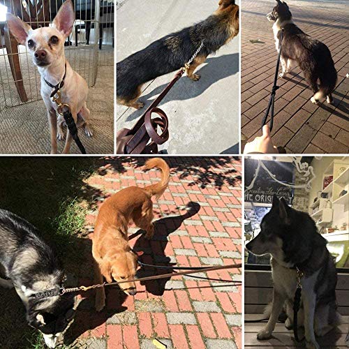 Fairwin Guinzaglio per cani di taglia piccola e