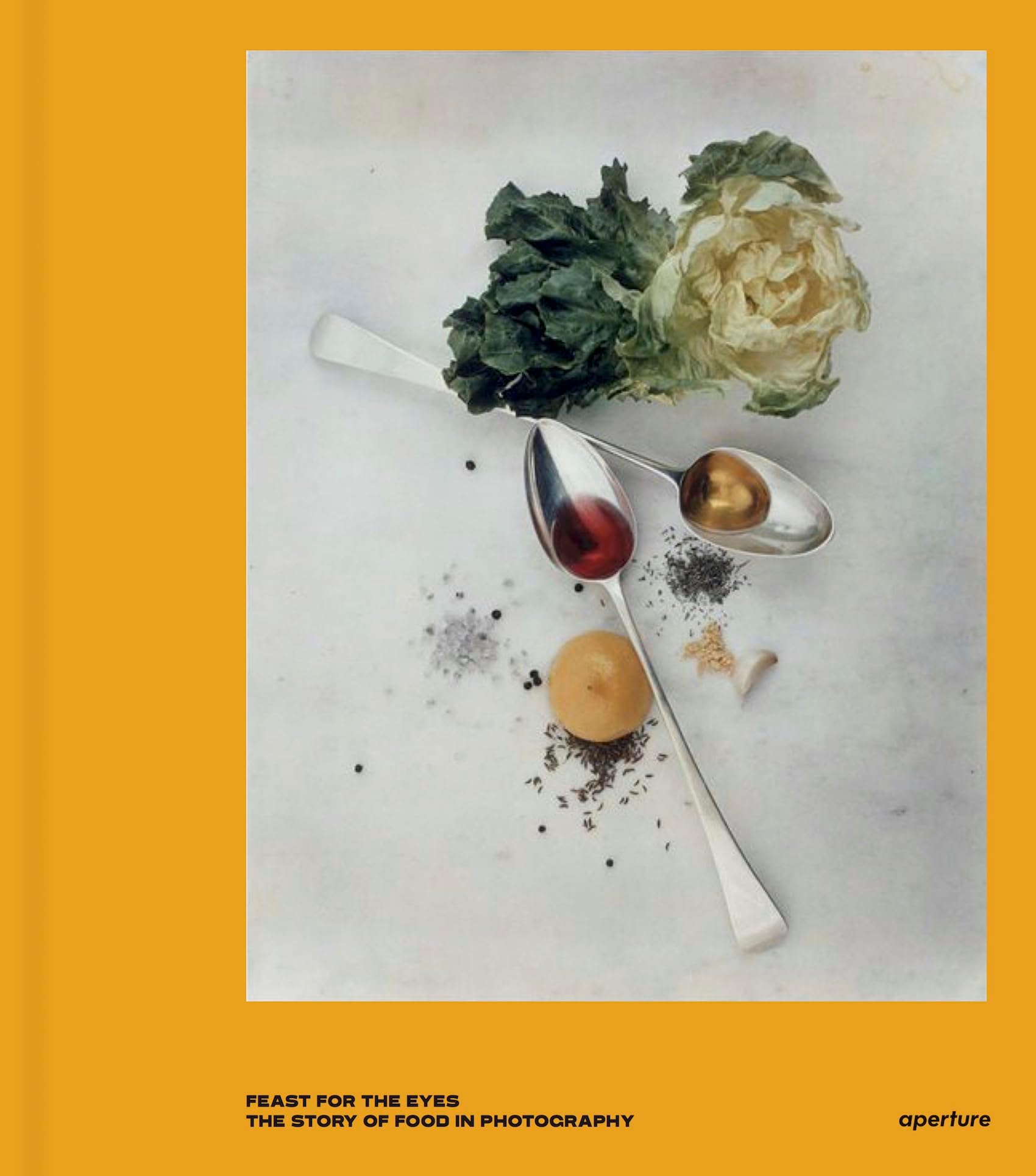 Feast for the Eyes: The Story of Food in Photography Hardcover โ June 15, 2017