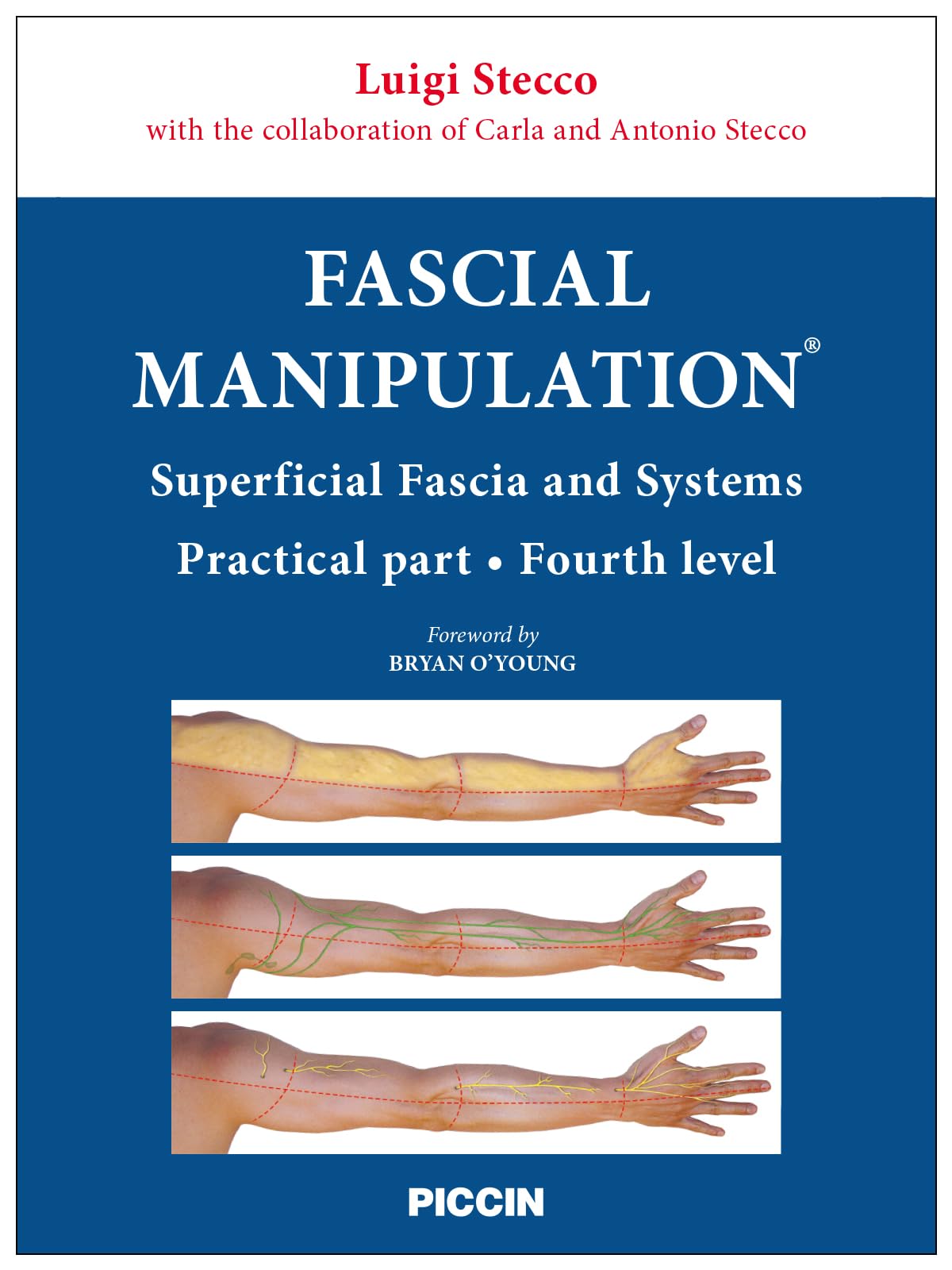 FASCIAL MANIPULATION® Fourth level 616ISTB59zL.jpg
