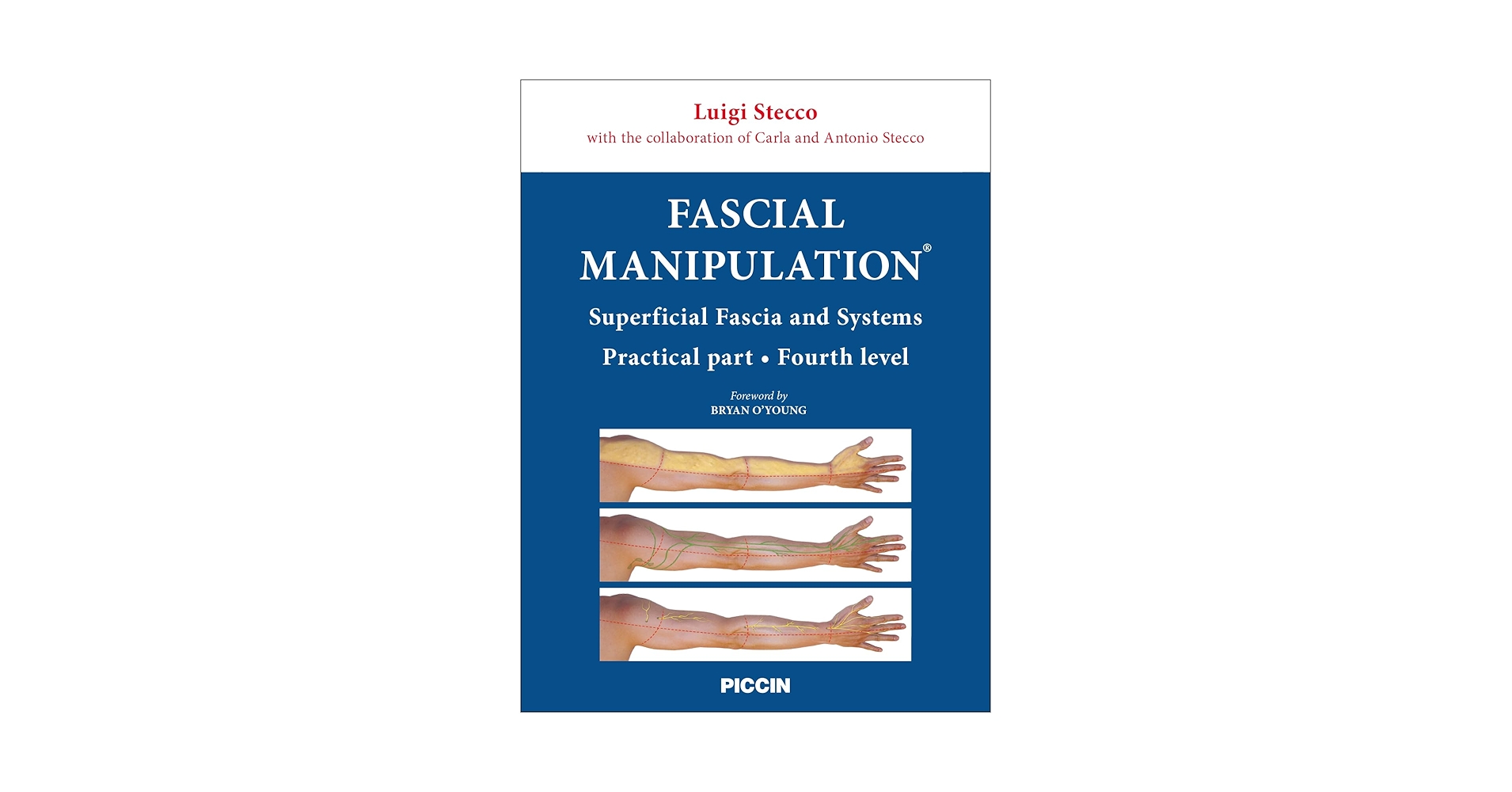 Fascial manipulation. Superficial fascia and systems