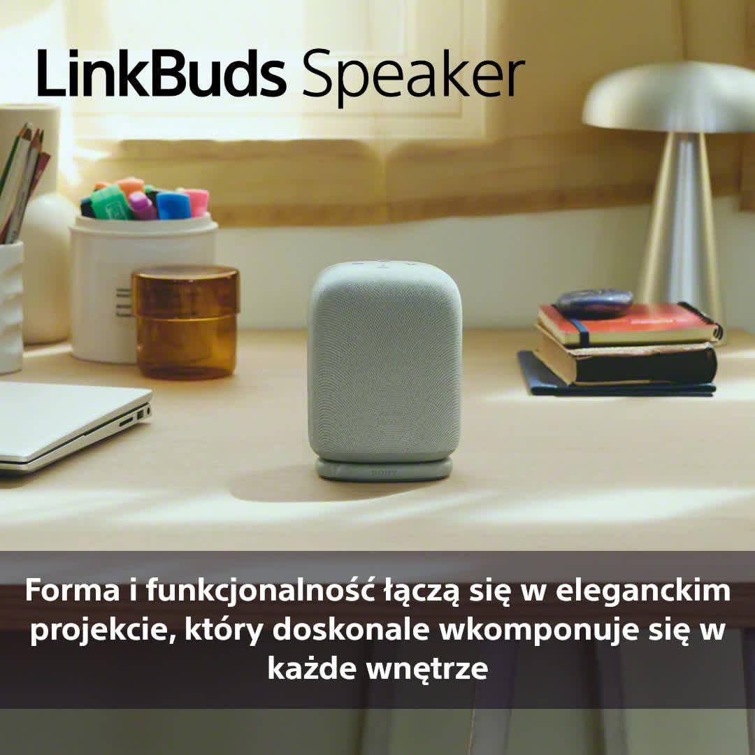 Sony LinkBuds Speaker przenośny bezprzewodowy głośnik Bluetooth ze stacją ładującą, IPX4, wodoodporny, 25-godzinny akumulator, jakość dzwonka, głośnik domowy, szary