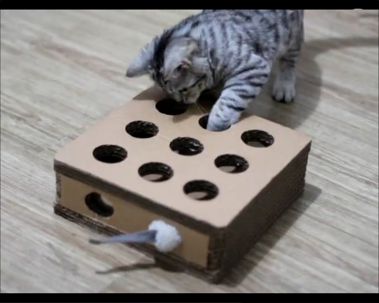 Cat Cardboard Scratcher Cat Corner Scratcher Cat Wall Scratcher