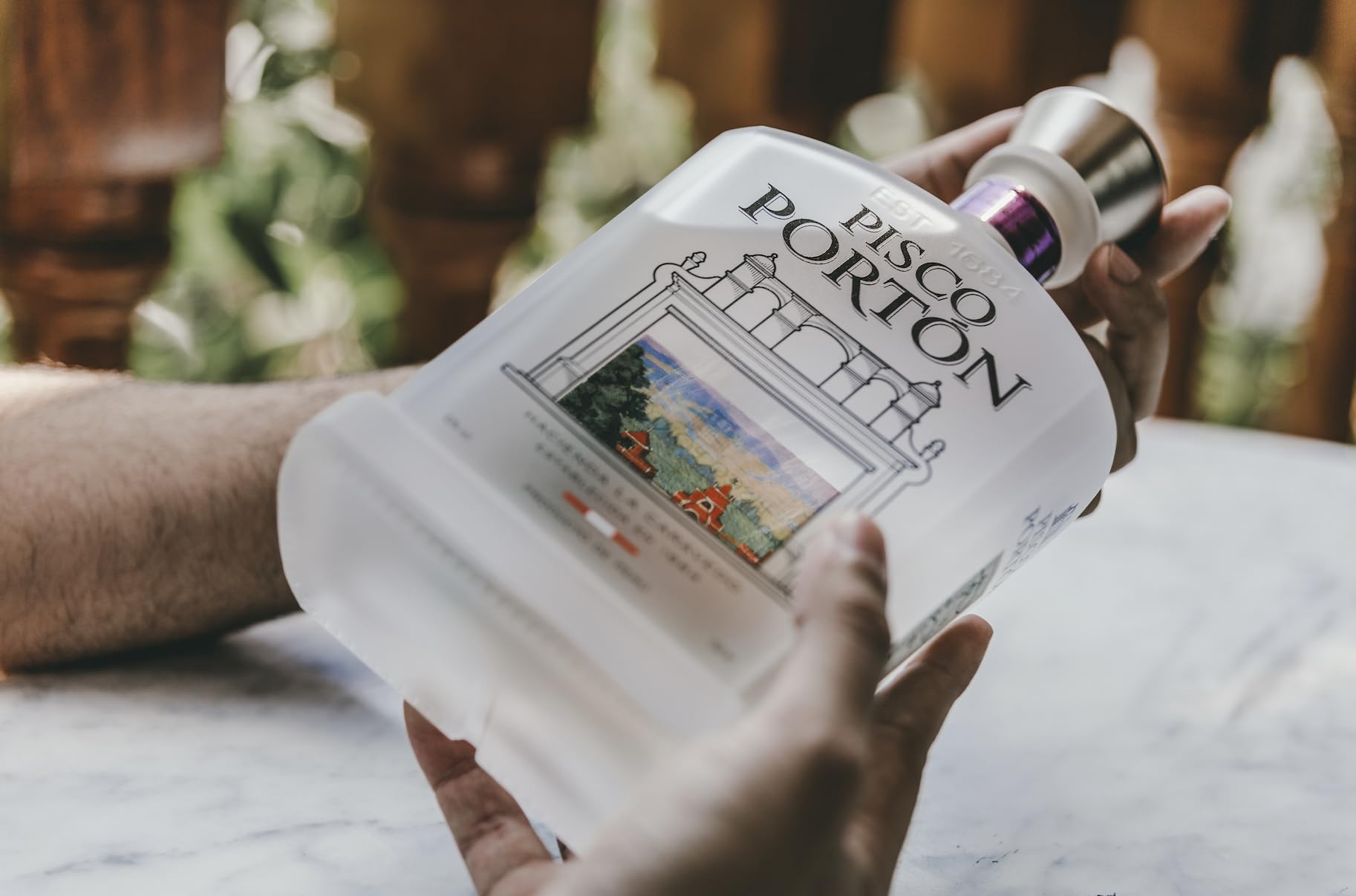 Pisco Portón 750ml 2本セット Amazon.co.jp: 【Authentic Product】Pisco Porton Mosto Verde