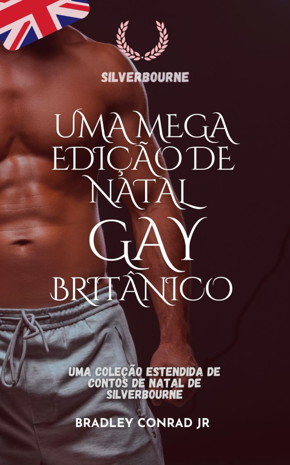 Silverbourne: Uma Mega Edição de Natal Gay Britânico: Uma Coleção Estendida de Contos de Natal de Silverbourne (Silverbourne – Romance Gay Britânico Slow Burn)