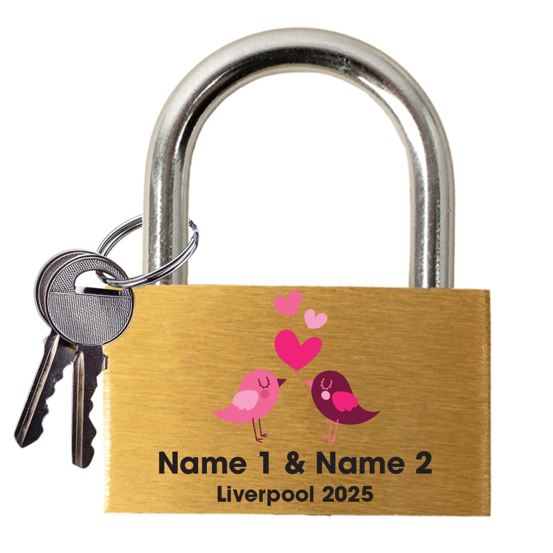 Star Online Gold, Silver Personalized Engraved Love Lock - Wedding & Anniversary Ceremony Gift - Custom Padlock Couples Name Linked Hearts Romantic Bridge Keepsake (Love Birds)