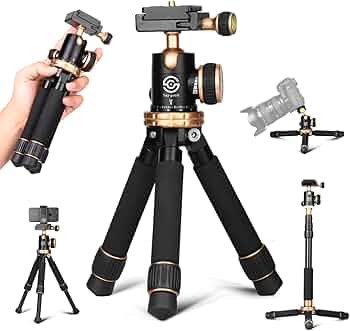 616IfUpvSrL._AC_UF350,