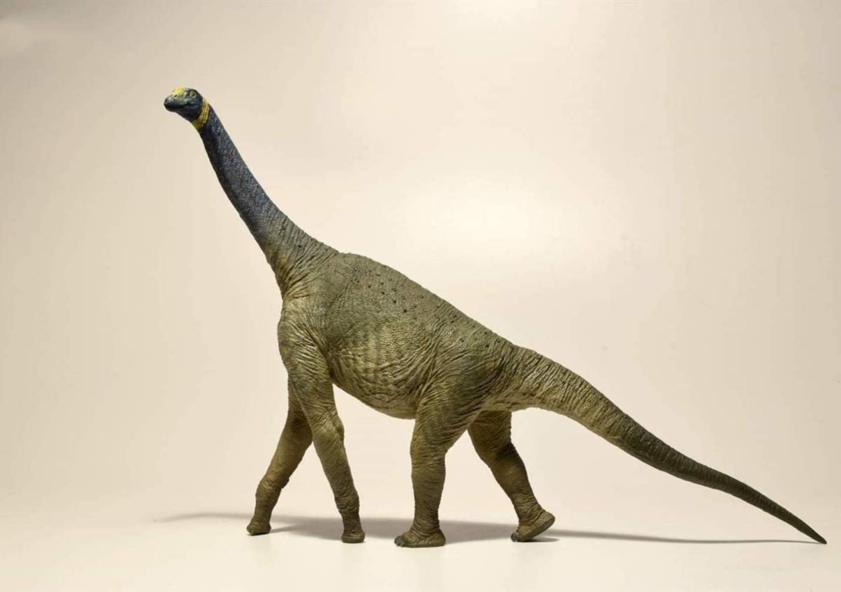 Eofauna 1:40 Scale Atlasaurus Statue Saurischia Dinosaur Figure