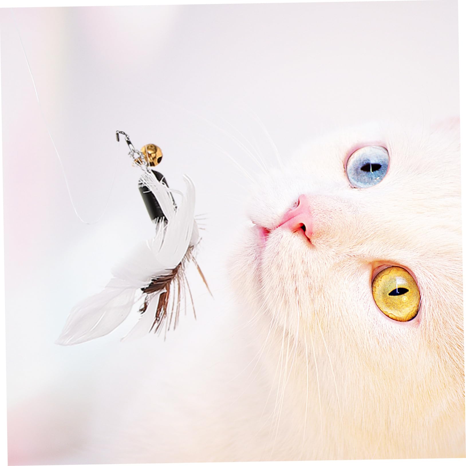 VANZACK 5 Ensembles Jouet pour Chat Interactive Cat Toy pièce jointe de Remplacement de de Chat Jouet de Chat drôle Chat Jouet Chat Teaser Jouets pour Chatons la Plume