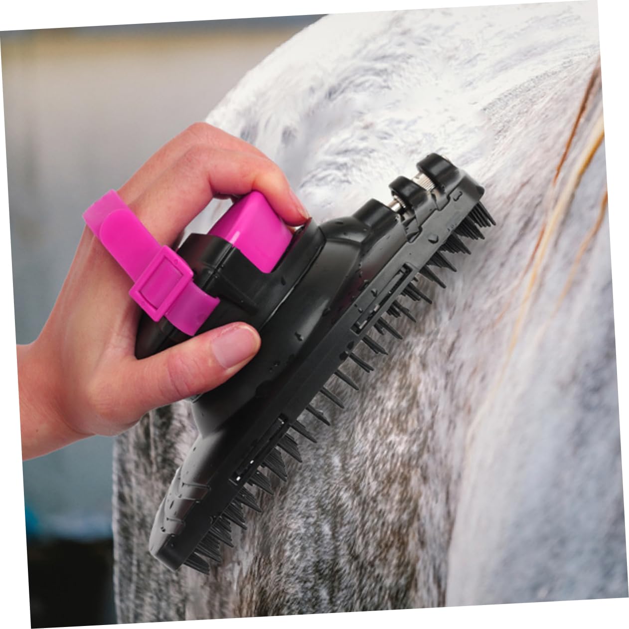ifundom Horse Hair Cleaning Supply Plastic Horse Cleaning Brush Easy Operation