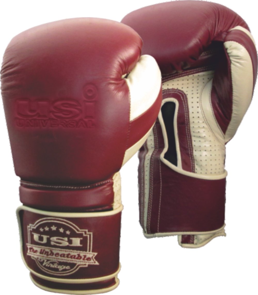 Top 7 Best Boxing Gloves in India 2022