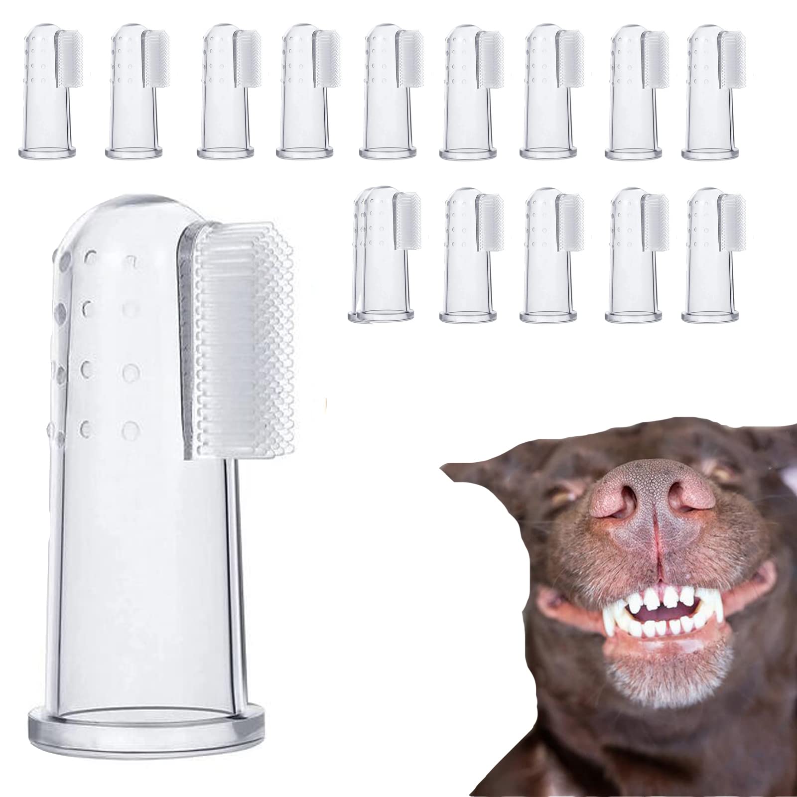 Are Dogs Tongues Cleaner Than Cats