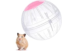 5.7 Inch Transparent Human Sized Hamster Ball