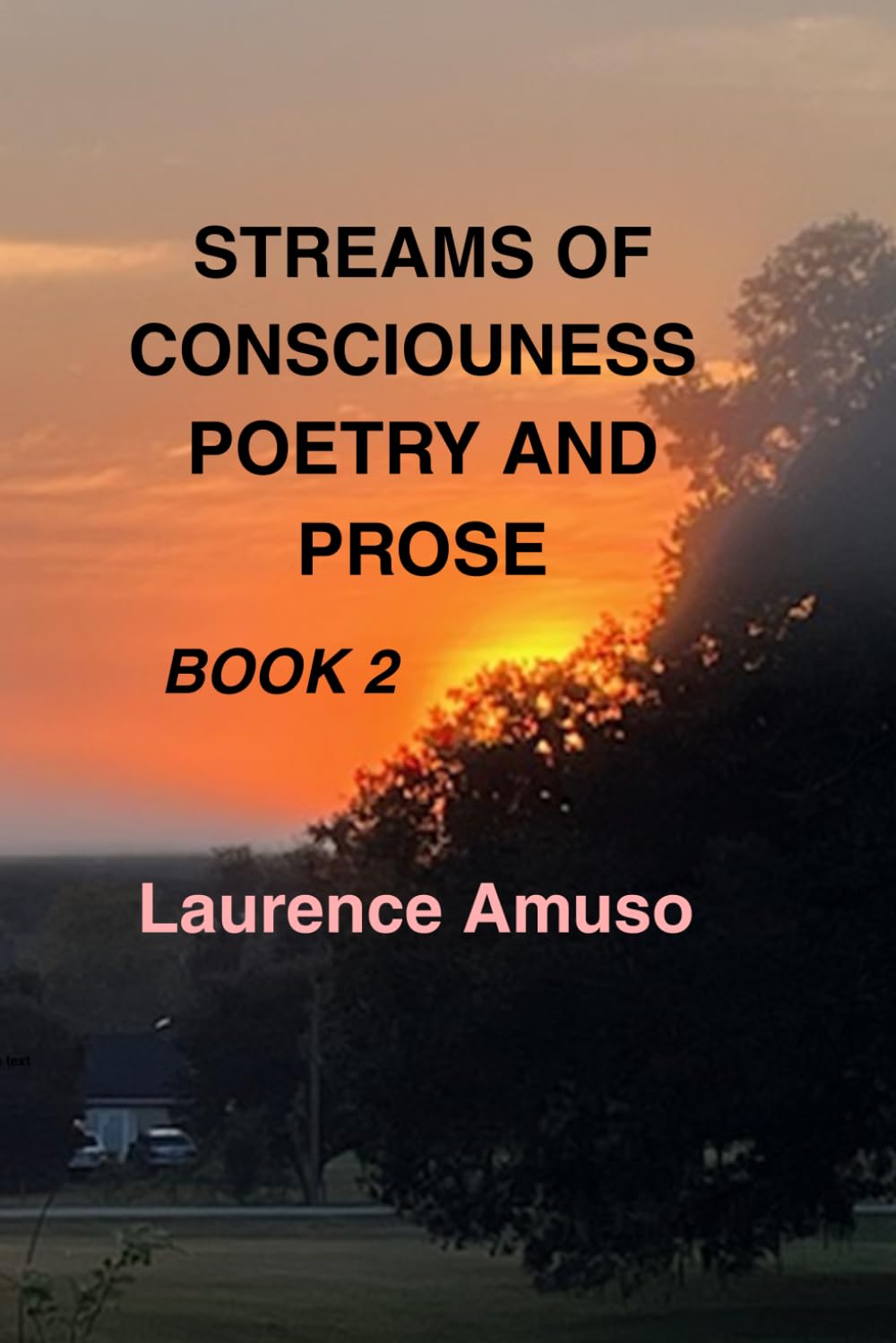 STREAMS OF CONSCIOUSNESS POETRY AND PROSE: BOOK 2