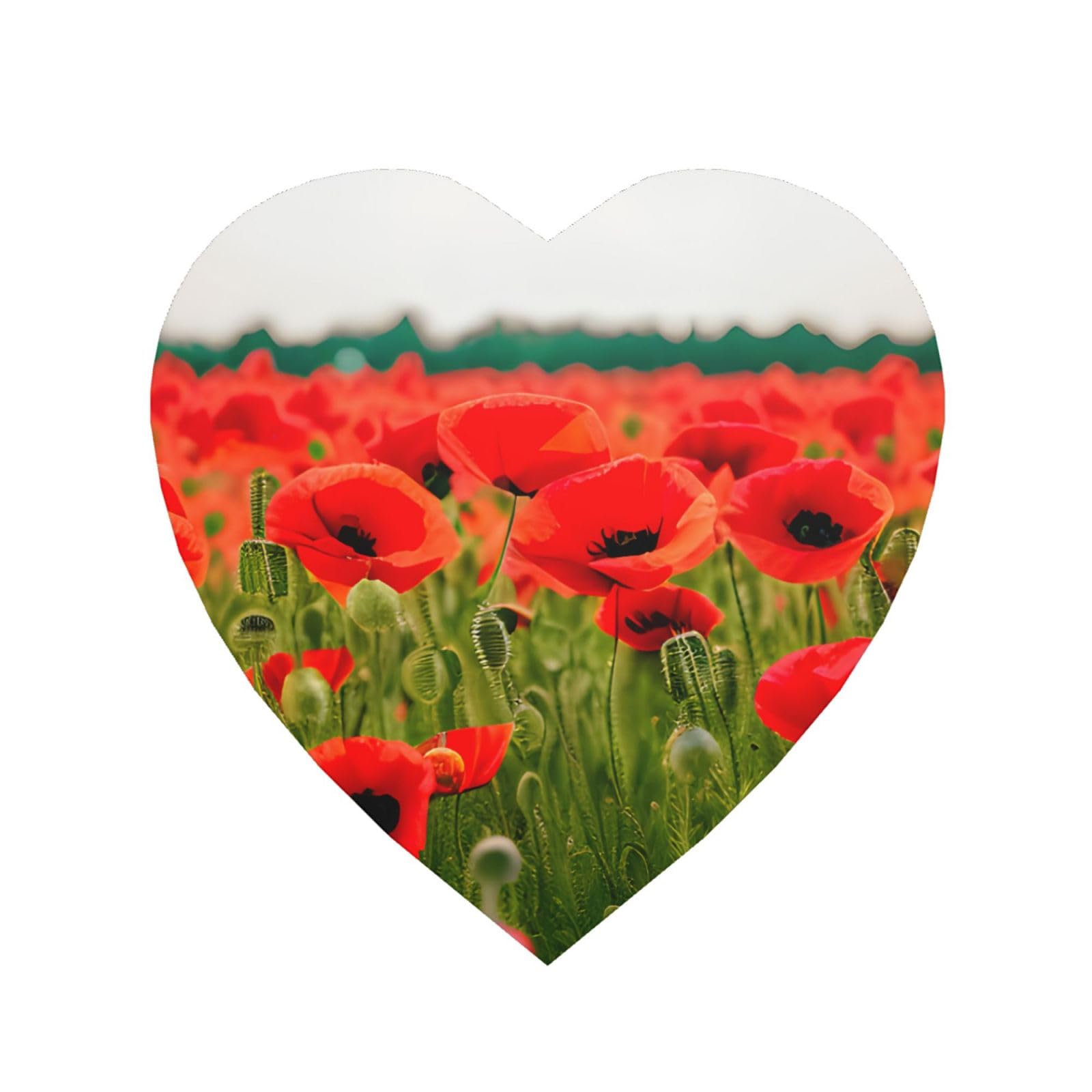 Poppy Flowers Vivid Petals Print Refrigerator Magnet,Magnets For Refrigerator Decoration, Kitchen, Office, Wall