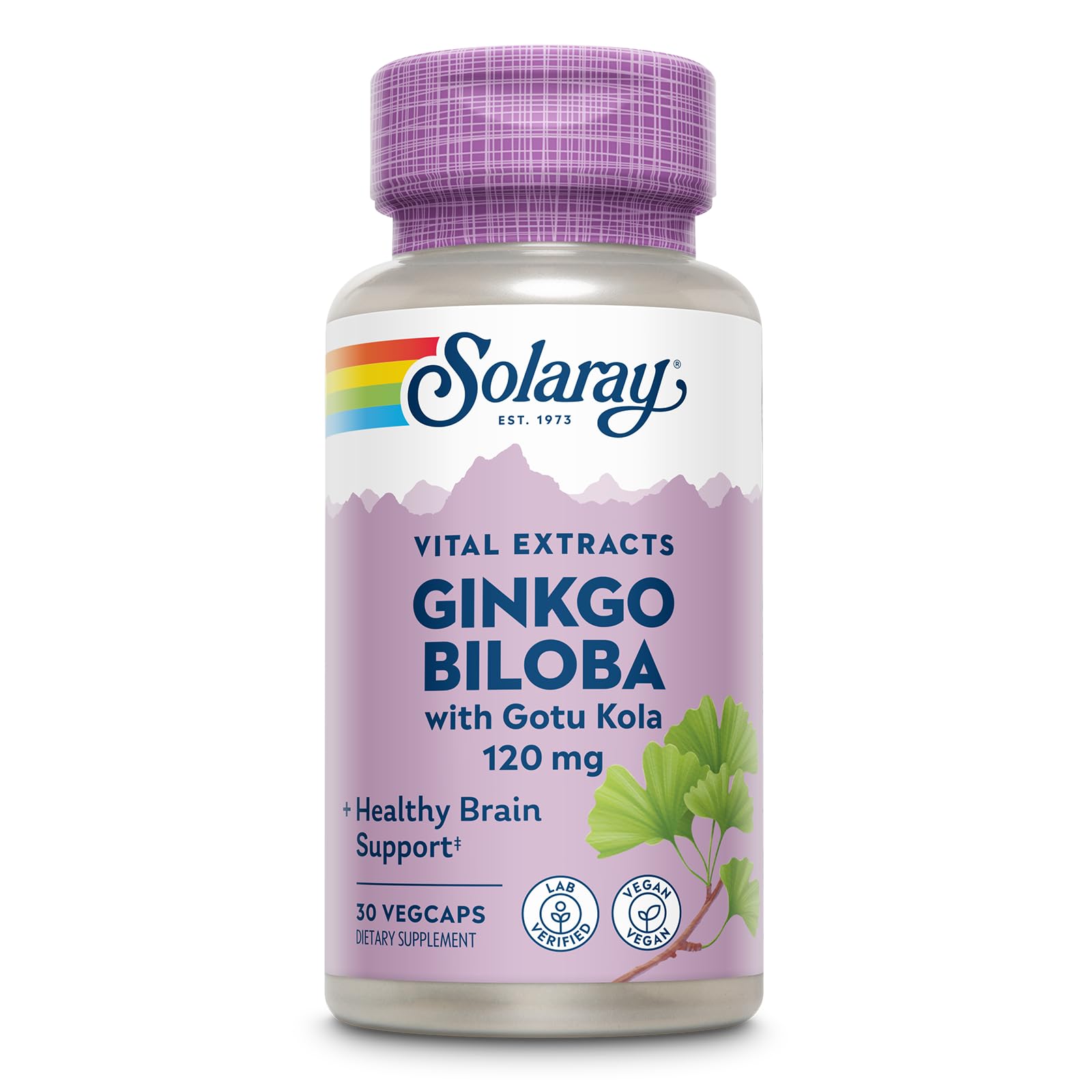 SOLARAY Ginkgo Biloba Extract with Gotu Kola - Ginko Biloba Capsules for Brain Health Support - Vegan, Lab Verified, 60-Day Guarantee - 60 Servings, 60 VegCaps (30 VegCaps) 30 Count (Pack of 1)