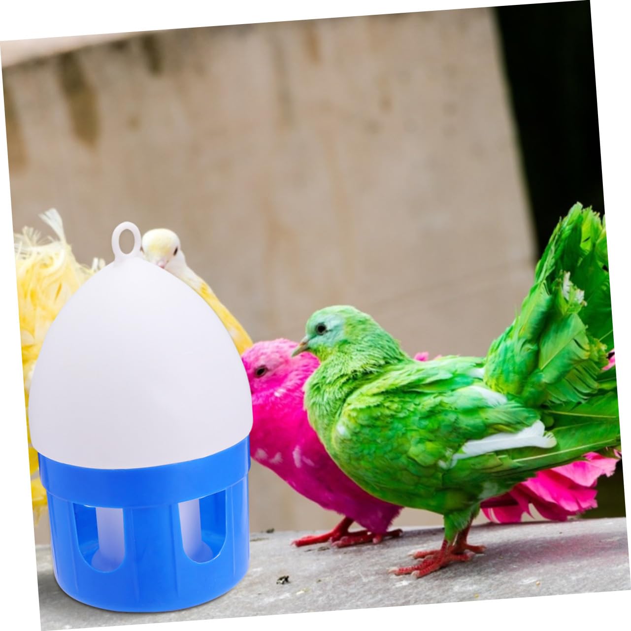 Automatische Vogeltränke für Tauben und Vögel 4, 5 L Kunststoff Blau | Sauberes Wasser, Einfache Reinigung, Geeignet für Zoo und Zuhause, Praktische Tränke für Tauben