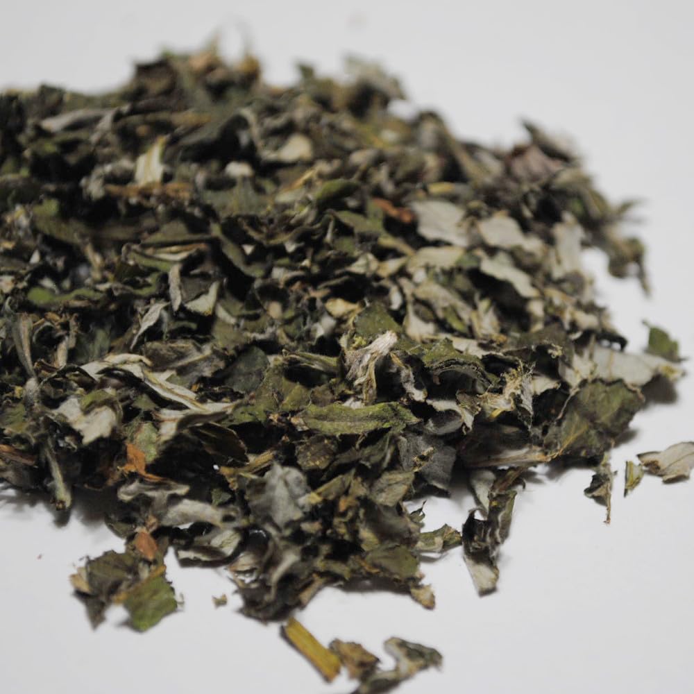 Amazon | よもぎ茶 5mm刻み 徳島産 2025年収穫 春新芽 ヨモギ茶 国産
