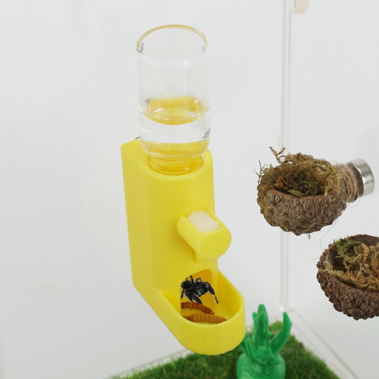Daerky Small Animal Water Feeder, Magnetic Hanging Feeder & Hidden Cave - Accessories for Jumping Spiders, Wolf Spiders, Mantises, Arboreal Animals & Other Small Creatures - 5ML Capacity (Yellow)