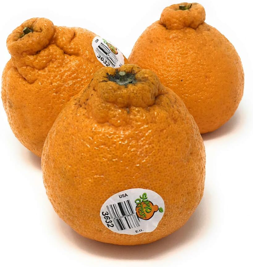 PRODUCE Dekopon Citrus Box, 48 OZ