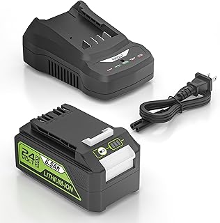 24V 6.5Ah Battery and Fast Charger Compatible with Bissell 24V Vacuum Battery 4054, Compatible with Bissell XR Pet 3789U 3789X Vacuum Batteries Charger
