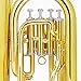 Mendini by Cecilio Euphonium, Gold Lacquer Brass B Flat Euphonium with Tuner, 4 Stainless Steel Pistons, Mouthpiece, Hard Case, Polishing Cloth and Gloves