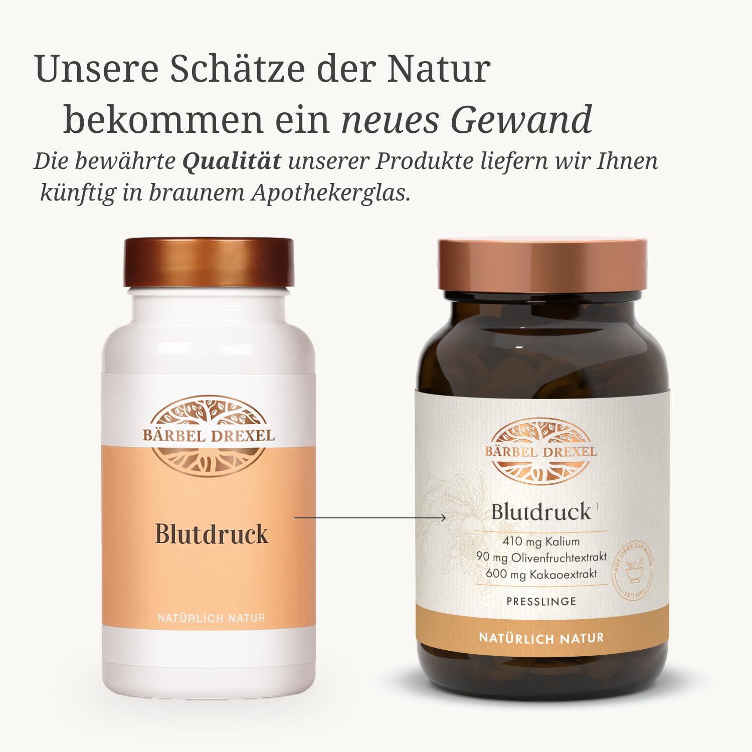 Blutdruck Tabletten I Rein pflanzlicher Wirstoff-Komplex aus natürlich gewonnenem Kalium, Kakao, Kräuter, Oliven, Granatapfel, Acerola (220 Stk) Naturheilkunde Kalium Tabletten BÄRBEL DREXEL®